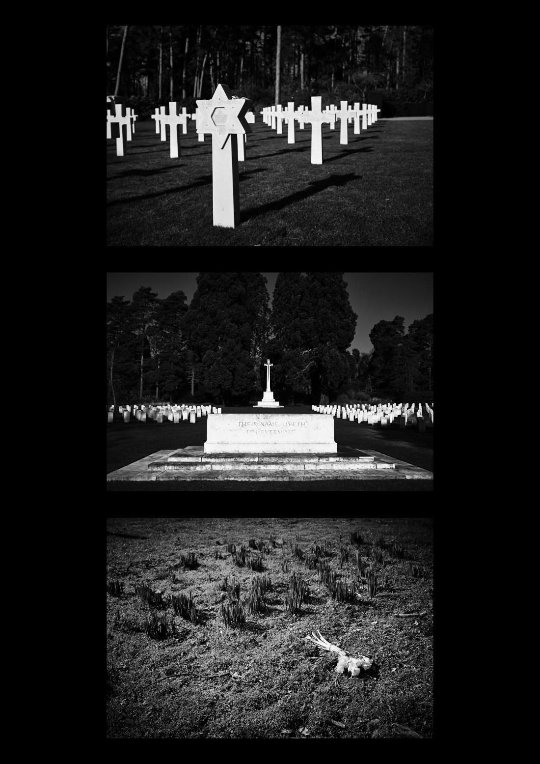 brookwood mil cem trip 4