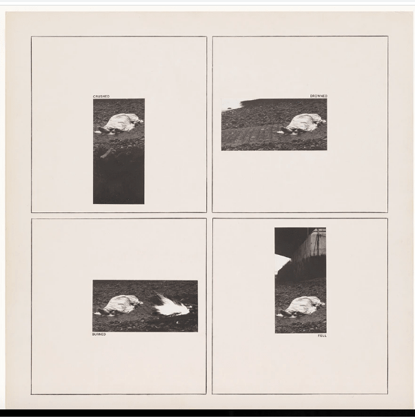 Screen Shot 2020-02-10 at 19.52.59